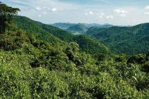 Suvarnabhumi Airport Transfer to The Series Resort Khaoyai